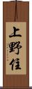 上野住 Scroll
