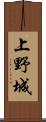 上野城 Scroll
