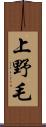 上野毛 Scroll
