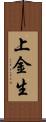 上金生 Scroll