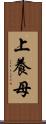 上養母 Scroll