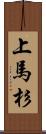 上馬杉 Scroll