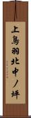上鳥羽北中ノ坪 Scroll