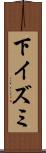 下イズミ Scroll