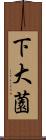 下大薗 Scroll