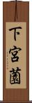 下宮薗 Scroll