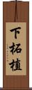 下柘植 Scroll