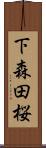 下森田桜 Scroll