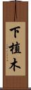 下植木 Scroll