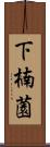 下楠薗 Scroll