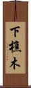 下樵木 Scroll