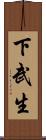 下武生 Scroll