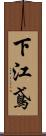 下江鳶 Scroll