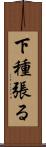 下種張る Scroll