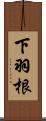 下羽根 Scroll