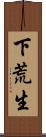 下荒生 Scroll