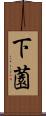 下薗 Scroll