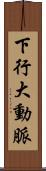 下行大動脈 Scroll