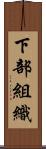 下部組織 Scroll