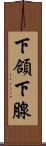 下頜下腺 Scroll