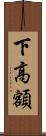 下高額 Scroll
