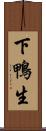 下鴨生 Scroll