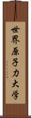 世界原子力大学 Scroll