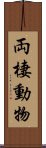 両棲動物 Scroll