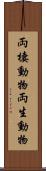 両棲動物 Scroll