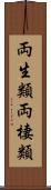 両生類 Scroll