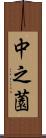 中之薗 Scroll