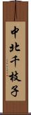 中北千枝子 Scroll