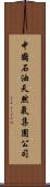 中國石油天然氣集團公司 Scroll