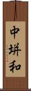 中垪和 Scroll