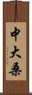 中大桑 Scroll