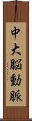 中大脳動脈 Scroll
