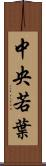 中央若葉 Scroll