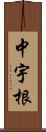 中宇根 Scroll