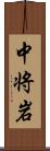 中将岩 Scroll