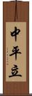 中平立 Scroll