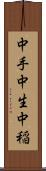 中手 Scroll