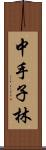 中手子林 Scroll