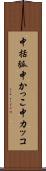 中括弧 Scroll