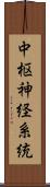 中枢神経系統 Scroll