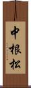 中根松 Scroll