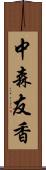 中森友香 Scroll