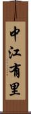 中江有里 Scroll