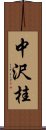 中沢桂 Scroll