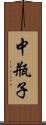 中瓶子 Scroll