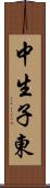 中生子東 Scroll